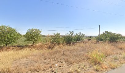 Imagen de Vivero De Olivos Chamorro situado en Córdoba, Córdoba