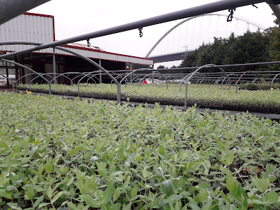 Imagen de Vivero ENCE NAVIA situado en nan, Asturias