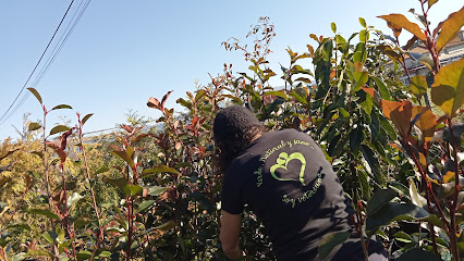 Imagen de Vivero El Jardín De Eva situado en A Aldea, Pontevedra