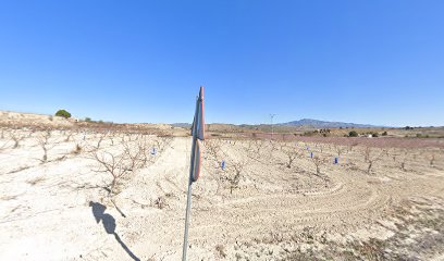 Imagen de Vivero El Romero situado en El Boquerón, Murcia