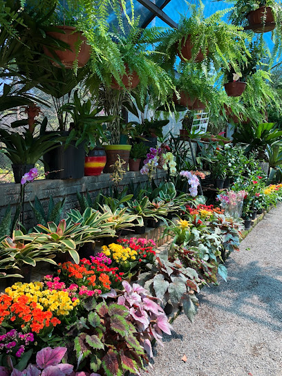 Imagen de Vivero El brasilero situado en Hugua Hu, nan