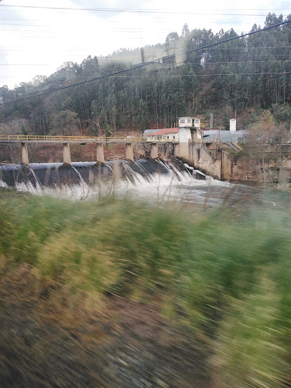 Imagen de Vivero Ence Torrelavega situado en Torrelavega, Cantabria