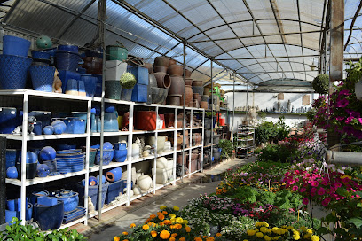 Imagen de Vivero Floristería Jardimar situado en Padul, Granada