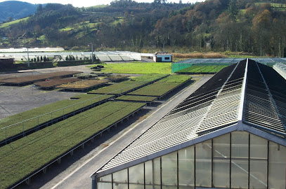 Imagen de Vivero Forestal de La Mata situado en nan, Asturias