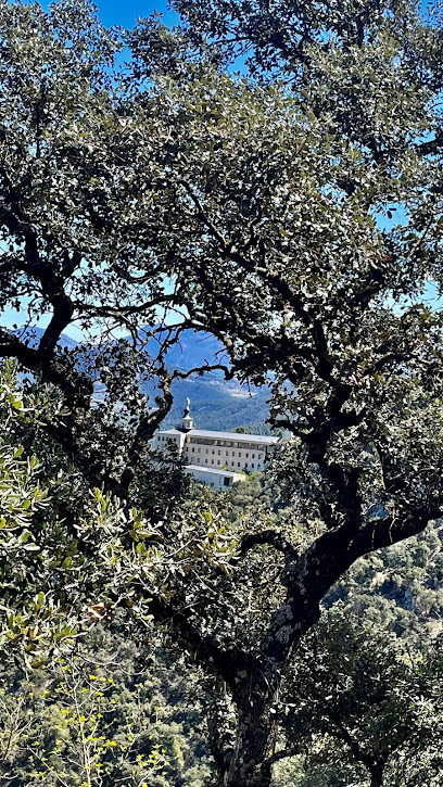 Imagen de Vivero Forestal de la Font Roja situado en nan, Alicante