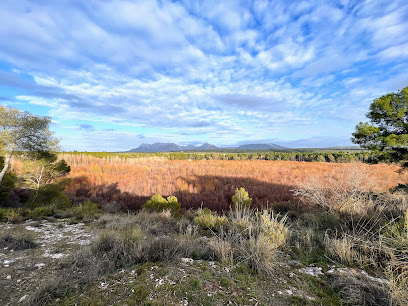 Imagen de Vivero Forestal del Cubillas situado en Albolote, Granada