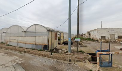 Imagen de Vivero GET Alboraya situado en Alboraya, Valencia