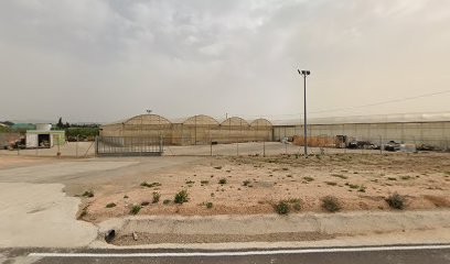 Imagen de Vivero GET Llíria situado en Llíria, Valencia