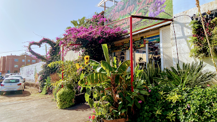 Imagen de Vivero Garden Luz ️ situado en La Laguna, Santa Cruz de Tenerife