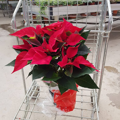 Imagen de Vivero Garden Verdeflora Dos Hermanas situado en Dos Hermanas, Sevilla