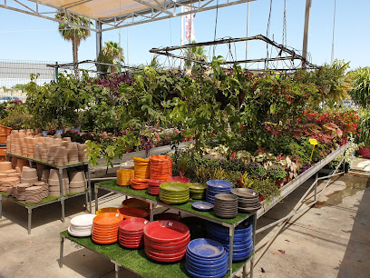 Imagen de Vivero Garden Verdeflora situado en Palomares del Río, Sevilla