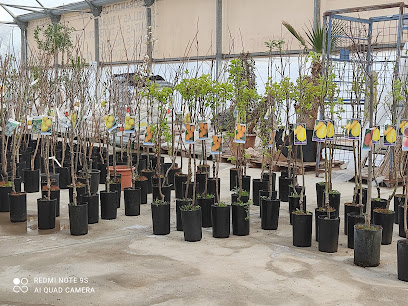 Imagen de Vivero Green Garden situado en Navalmoral de la Mata, Cáceres