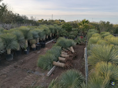 Imagen de Vivero Gruponova Novaplant Sur situado en nan, Sevilla