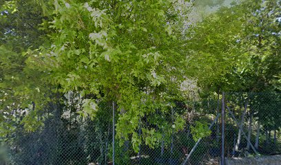 Imagen de Vivero situado en Huesca, Huesca