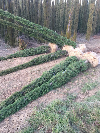 Imagen de Vivero La Cerrada situado en Zaragoza, Zaragoza