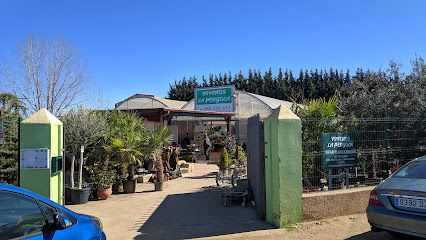 Imagen de Vivero La Pérgola situado en Zamora, Zamora