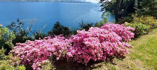 Imagen de Vivero Lago Ranco situado en Lago Ranco, Los Ríos