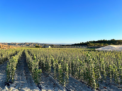 Imagen de Vivero Las Viñas situado en Castilléjar, Granada