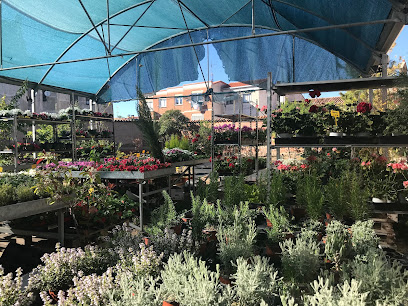 Imagen de Vivero Los Granados.Horario Especial otoño/invierno situado en Medina del Campo, Valladolid