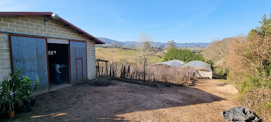 Imagen de Vivero Madiedo situado en El Reborión, Asturias