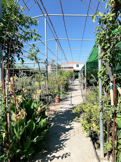 Imagen de Vivero Mi Huerta situado en El Viso, Córdoba