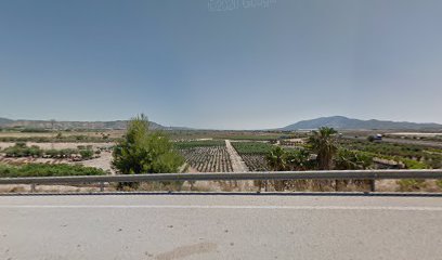 Imagen de Vivero Milenio SLU situado en Totana, Murcia