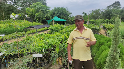 Imagen de Vivero Mundo Vegetal situado en Arenillas, nan