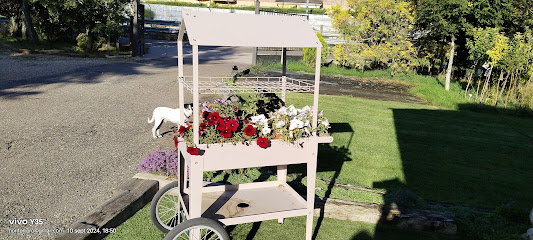 Imagen de Vivero Natura S.L. situado en San Andrés del Rabanedo, León