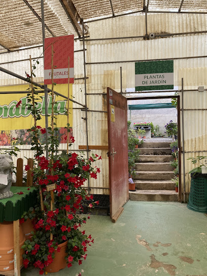 Imagen de Vivero Orquídeas Las Mesas situado en Las Mesas, Las Palmas