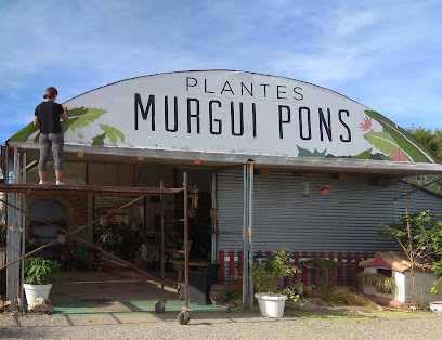 Imagen de Vivero Plantes Murgui Pons situado en La Pobla de Vallbona, Valencia