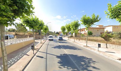 Imagen de Vivero Polop S.Cv. situado en Barony of Polop, Alicante