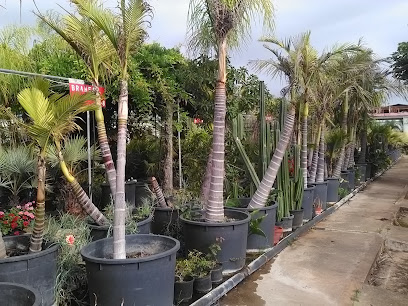 Imagen de Vivero Ricardo Cordón Pozo situado en Paradas, Sevilla