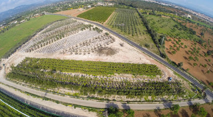 Imagen de Vivero Sa Porrassa. Finca Son Nebot situado en Marratxinet, Balearic Islands