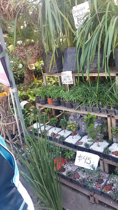 Imagen de Vivero Tabachines situado en Zapopan, Jalisco