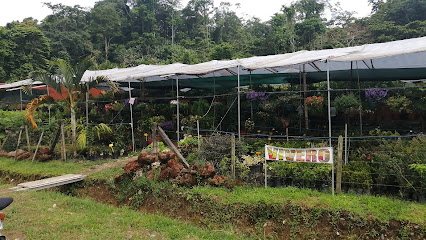 Imagen de Vivero Talamanca situado en Cahuita, Limón