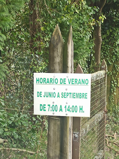 Imagen de Vivero Teixedelos situado en As Pontes de García Rodríguez, A Coruña