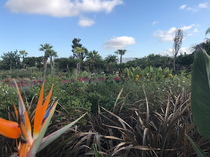 Imagen de Vivero Todolí Jardins S.L. - Ibiza situado en San Rafael, Balearic Islands