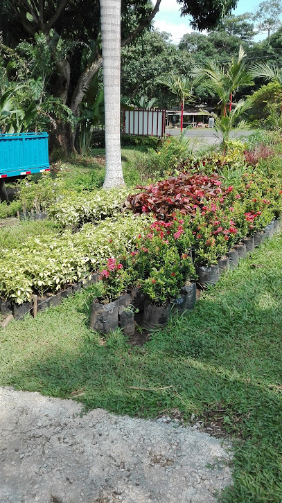 Imagen de Vivero Tropical situado en Esparza, Provincia de Puntarenas