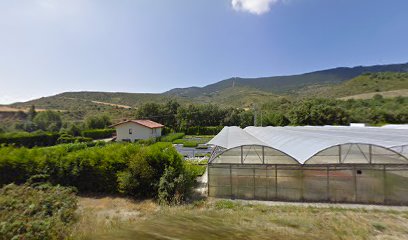 Imagen de Vivero Ubani situado en Ayesa, Navarra