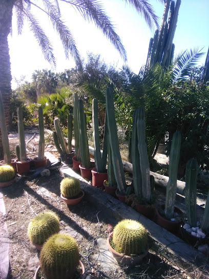 Imagen de Vivero camp d' elx situado en Elche, Alicante