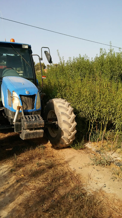 Imagen de Vivero de Almendros Hilario situado en Lorca, Murcia