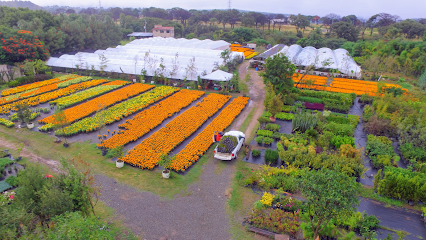 Imagen de Vivero de Occidente situado en Zapopan, Jalisco