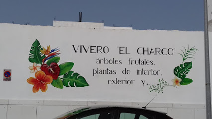 Imagen de Vivero el Charco situado en Puerto del Rosario, Las Palmas