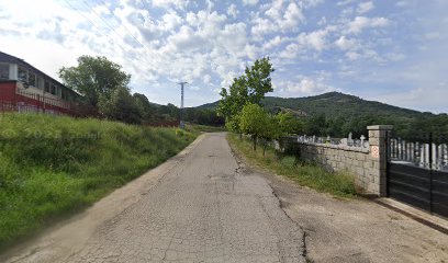 Imagen de Vivero los Rebollos situado en Cercedilla, Madrid