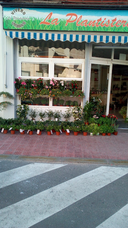 Imagen de Vivero urbano Plantas La Plantisteria situado en Alicante, Alicante