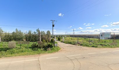 Imagen de Vivero y Jardineria Campos de Mocejon situado en Mocejón, Toledo