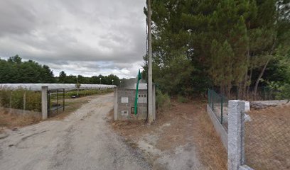 Imagen de Viveros Amencer situado en Lavandeira, Province of Ourense