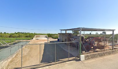 Imagen de Viveros Aparisi situado en Polinyà de Xúquer, Valencia