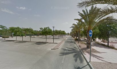 Imagen de Viveros Baix Vinalopó situado en Elche, Alicante