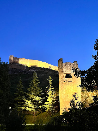 Imagen de Viveros Benito (Soria) situado en Cdad. de Osma, Soria